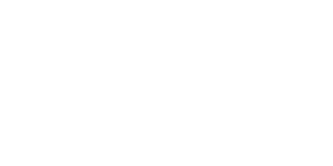 Zain Al Mohsin